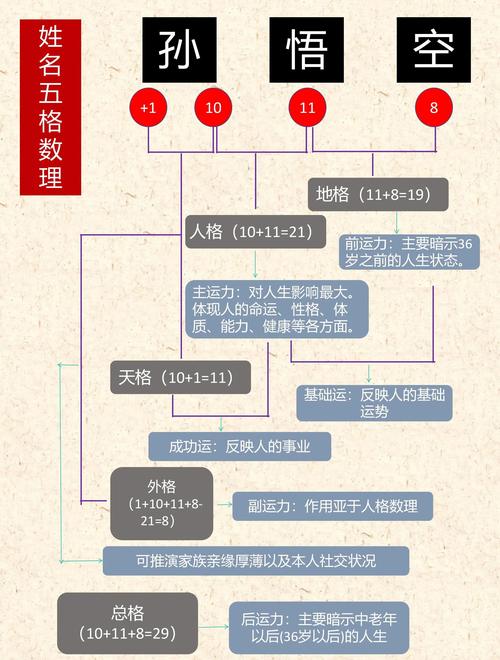 姓名属性是什么命格，能否揭示一个人的命运走向？