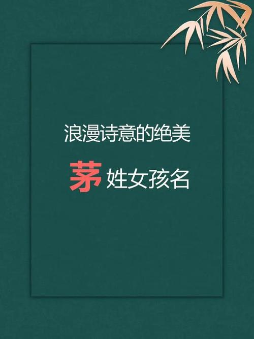 茅姓女孩名字中哪个既优美又大方？