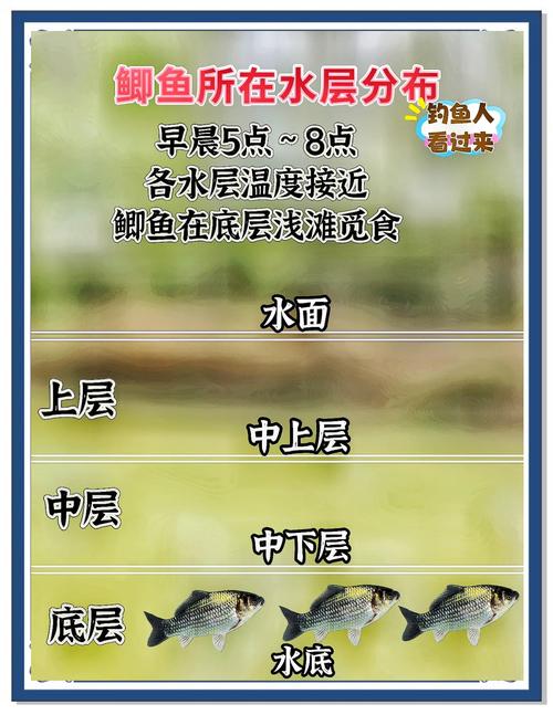 2026年农历正月十一这天适合钓鱼吗？当天钓鱼效果如何？