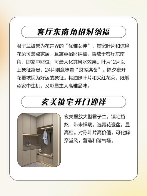 风水上，兰花摆放在饭桌附近是否合适呢？