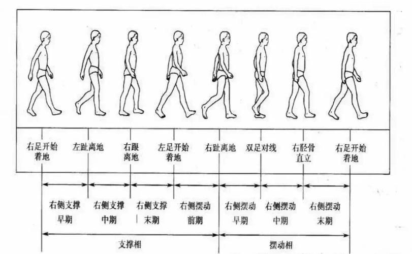 男人走路快或脚尖走路，命运究竟如何？