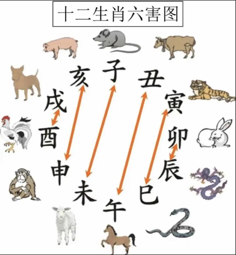 属虎的和属兔的相克吗？这种说法有科学依据吗？