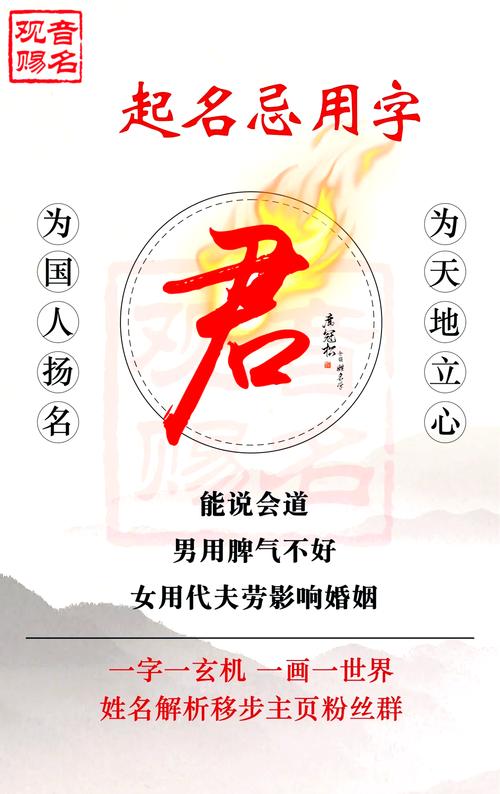 君字取名寓意男孩，能否体现尊贵、领导力的美好品质？