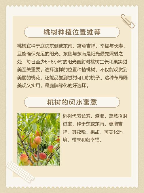 桃树种植在离住宅较远的位置，对住宅风水有何具体影响？