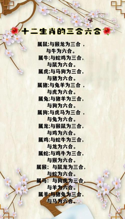 64年龙与72年鼠是否相配，嫩否成为佳偶？