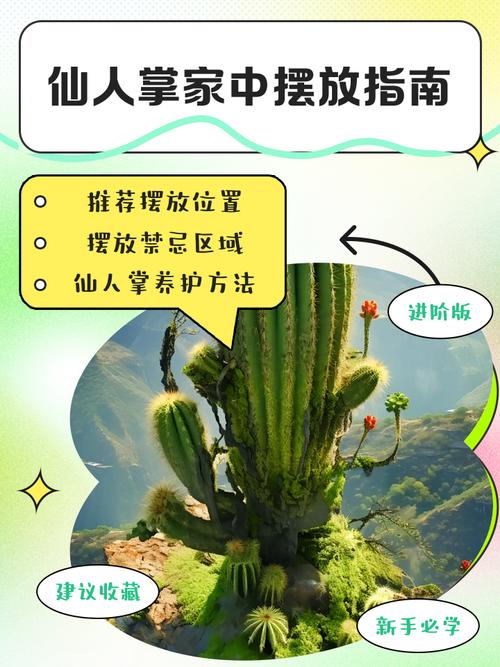 仙人掌摆放在家中嫩否起到阻挡不利风水的作用？