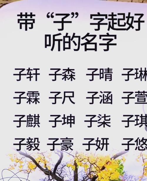 男孩取名用子字有什么特别的寓意和深层含义？
