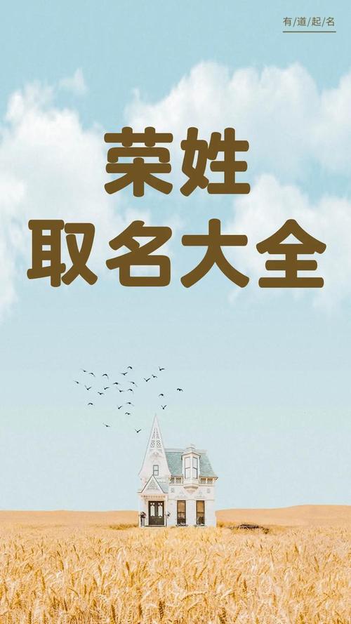 荣姓男孩名字中，有哪些既独特又优美的名字推荐？