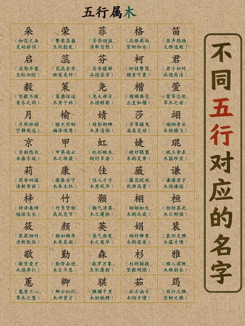 之字五行属什么取名寓意男孩有哪些？