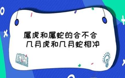 属虎的人比属蛇的人大三岁，这样的婚姻组合会犯冲吗？