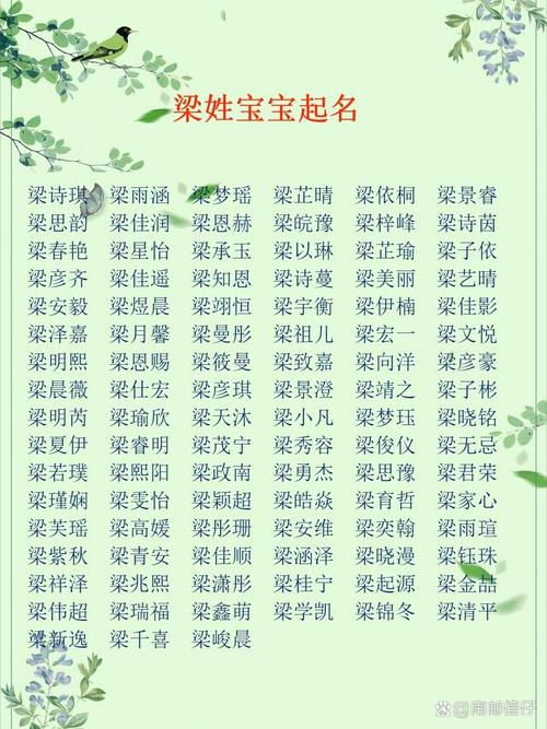 梁姓朗朗上口的男孩名字，有没有什么好听的推荐？