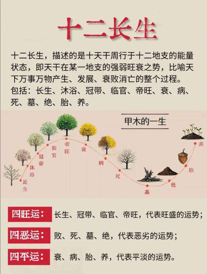 八字命格带有长生，这是否意味着命运长盛不衰呢？