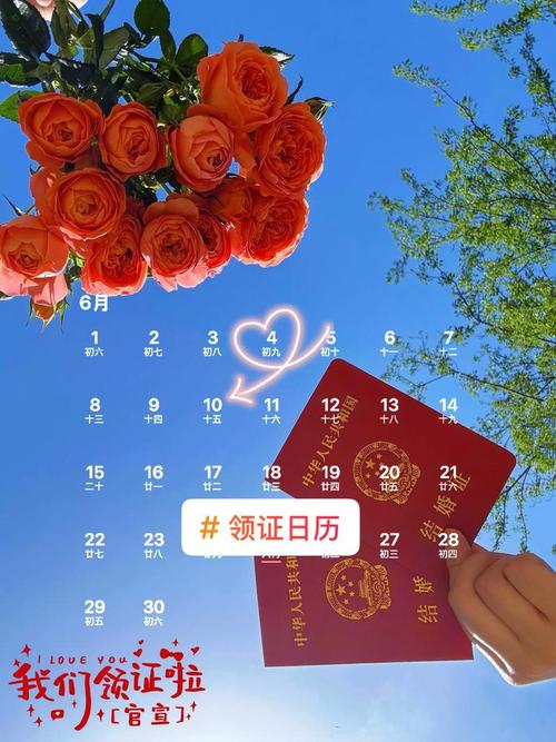 2026年11月27日农历十月十九领证，这个日子登记领证合适吗？