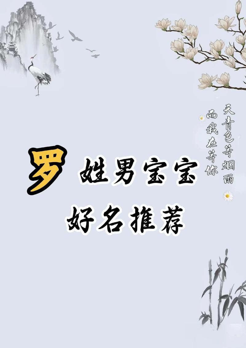 罗姓男宝宝取名时，有哪些既优美又大方的名字选择？