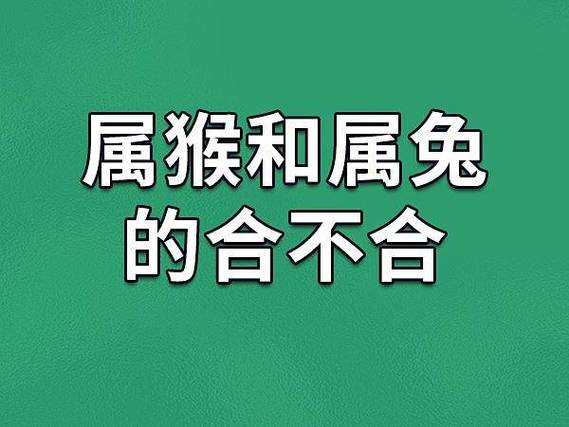 属兔和属猴的合不合财运，会影响他们的财运吗？