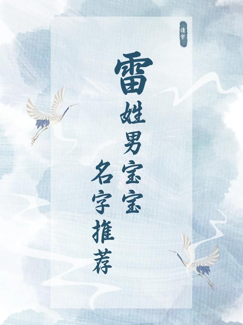 雷姓男孩取个洋气名字，有没有什么好建议？