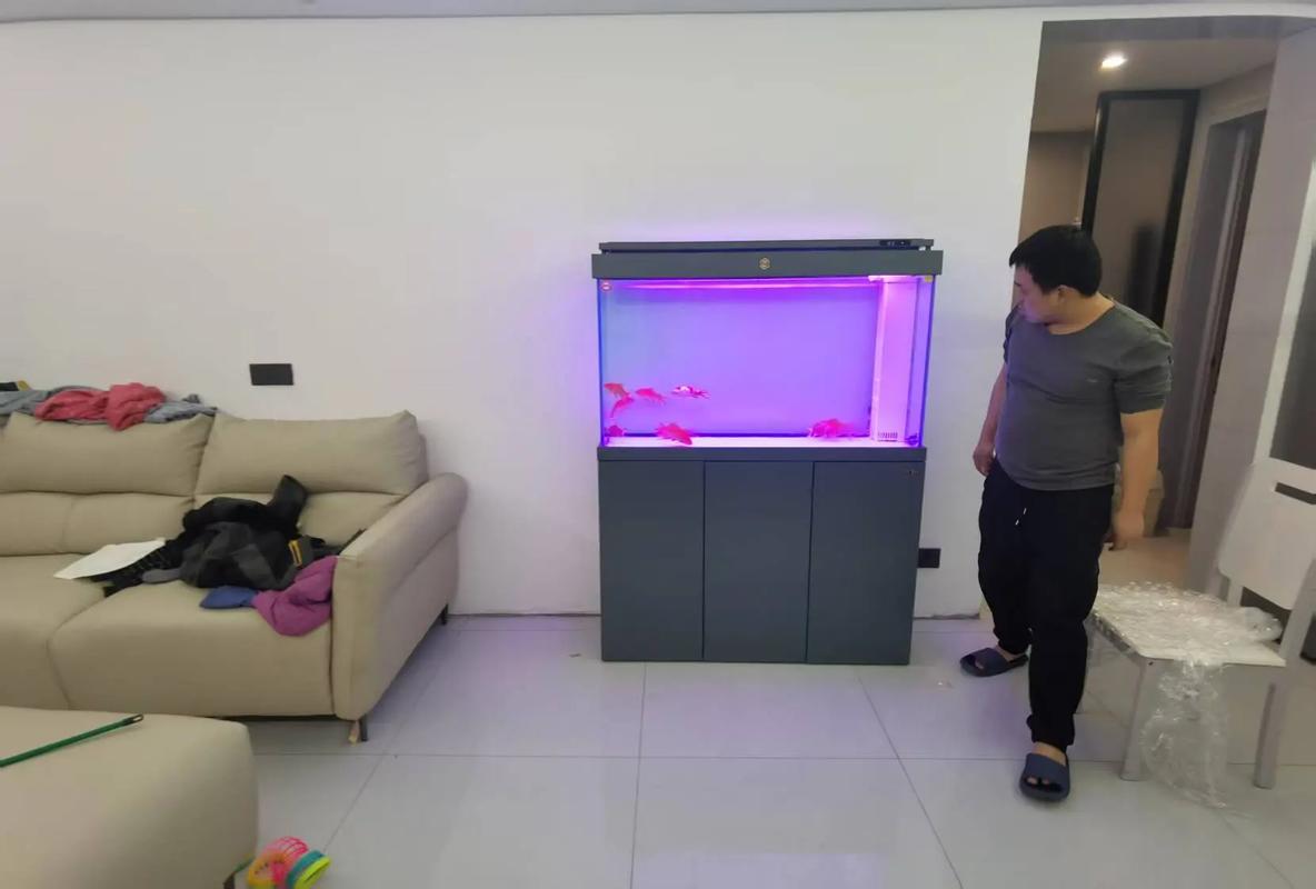 客厅摆放鱼缸风水如何，适合养鱼吗？