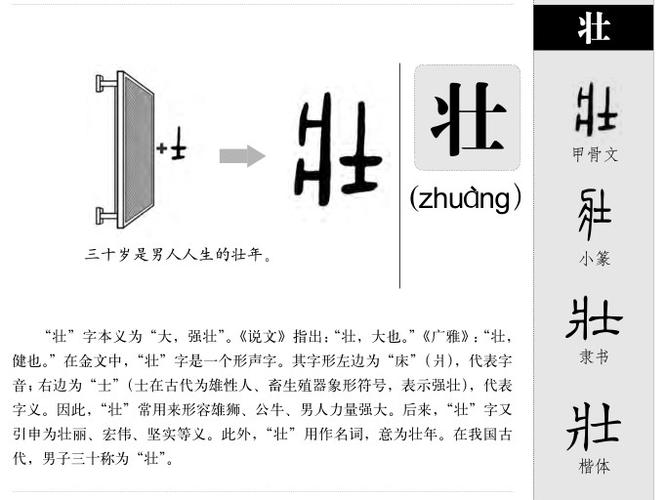 壮字五行属什么？男孩最佳名字组合是哪些？