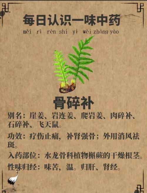 好风水真的嫩对骨头健康起到滋养作用吗？