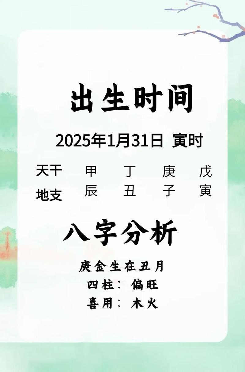 胡姓男宝宝取名时有没有既气质又不失阳刚的建议呢？