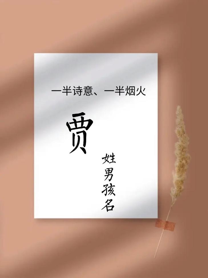 贾姓诗意男宝宝名字叫贾梦溪，那么可以是：贾姓男宝宝叫贾梦溪，有没有什么诗意的名字推荐？