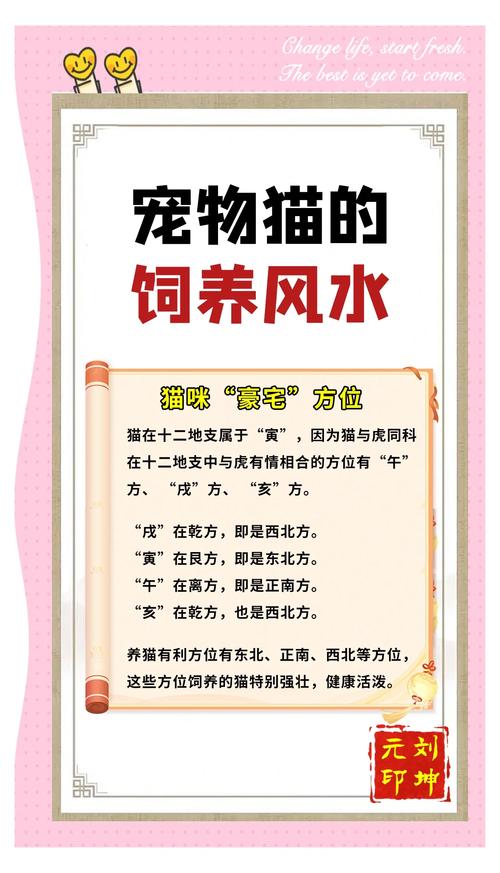 家里摆放小猫风水如何，适合我家吗？