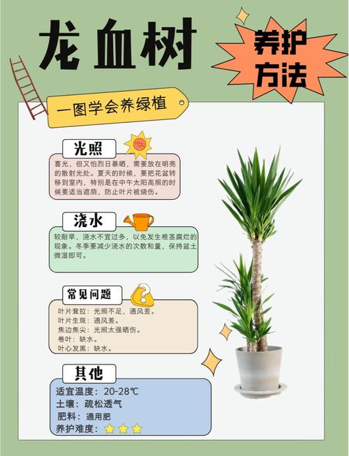 家里种植植物的风水讲究有哪些注意事项？