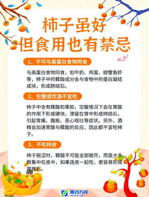 孕妇在风水上禁忌食用柿饼，这种说法有科学依据吗？