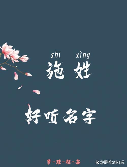 施姓智慧才气男孩取什么名字好？