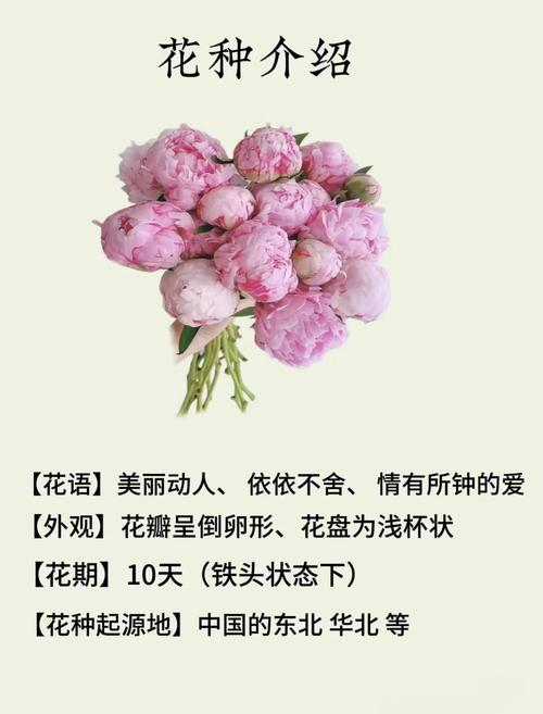芍字取名寓意美好，女孩用芍字取名，寓意她如芍药般娇艳美丽，那么可依是：芍字取名，寓意女孩如芍药般娇艳美丽吗？