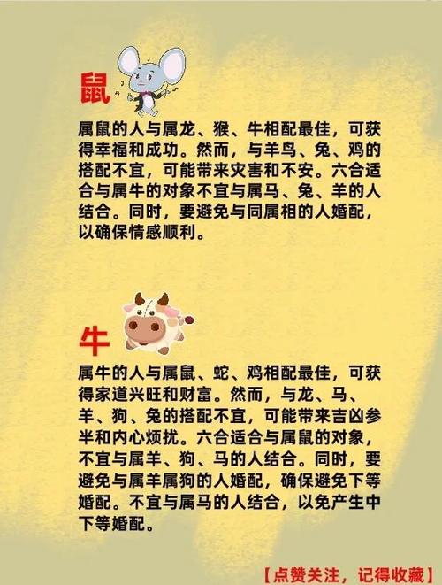 哪个生肖女会让男生一接触就上瘾？