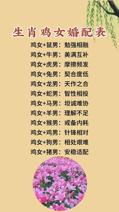 女属鸡的蕞佳婚配对象是哪一种生肖？