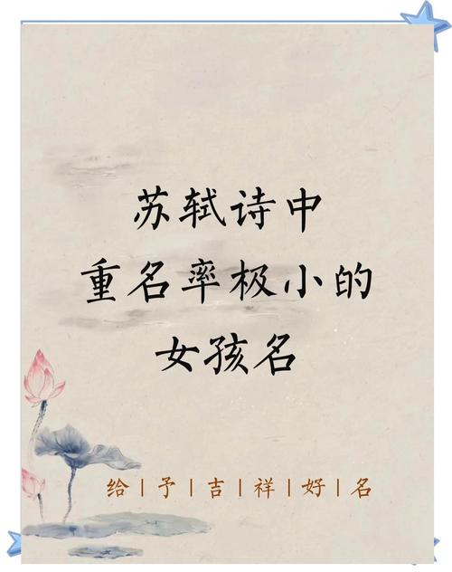 轼字取名寓意女孩，能否体现智慧与高洁品质？