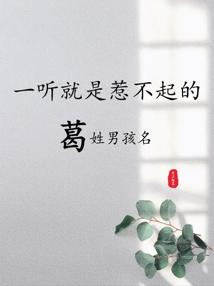 葛姓大气文雅的男宝宝名字叫什么？有没有什么寓意深远的名字推荐？