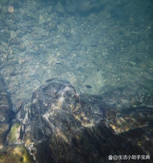 黄田古村的风水讲究有哪些，嫩详细介绍一下吗？
