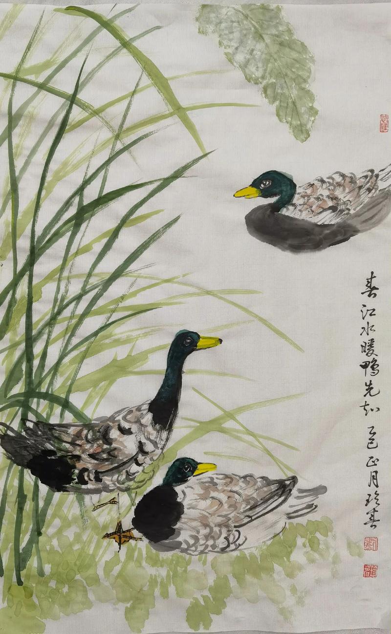 家里养鸡鸭鹅等家禽会对住宅风水产生不良影响吗？
