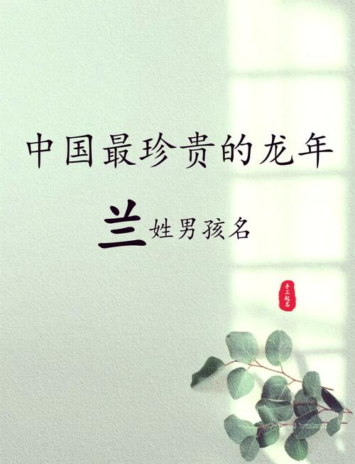 蓝姓男宝宝取名，有没有既创意又吉祥的名字推荐呢？