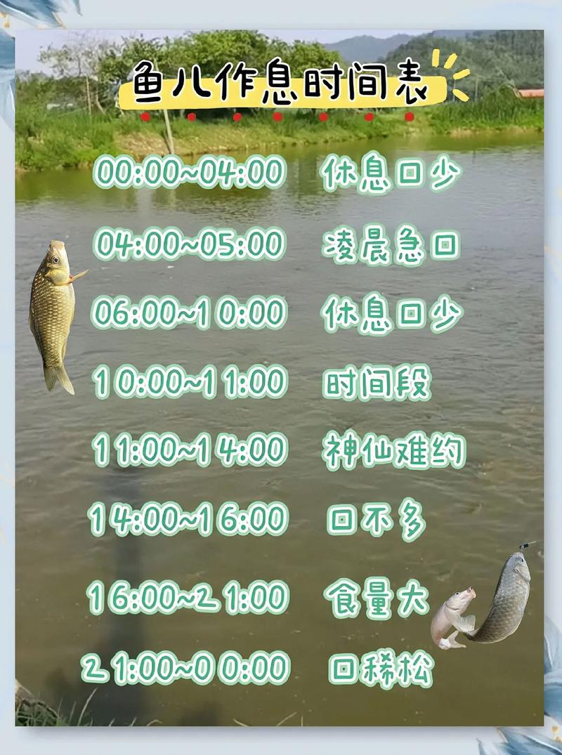 2025年12月30日农历冬月十一这天，是黄道吉日，适合钓鱼吗？