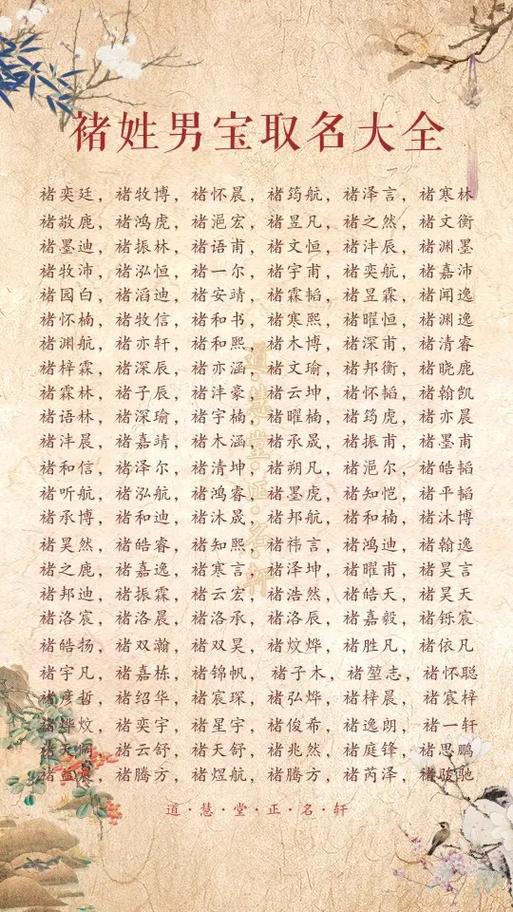 褚姓女宝宝取名，有没有既吉利又好听的吉祥名字推荐呢？