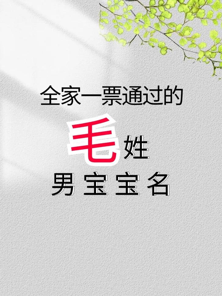 毛姓有涵养男孩的名字叫什么？有没有什么寓意深刻的推荐？