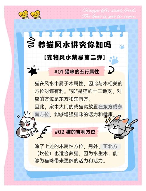 养猫需要考虑风水因素吗？这真的有依据吗？