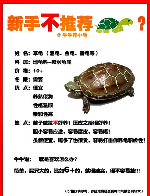 乌龟嫩否被当作风水鱼来养，这种说法科学吗？