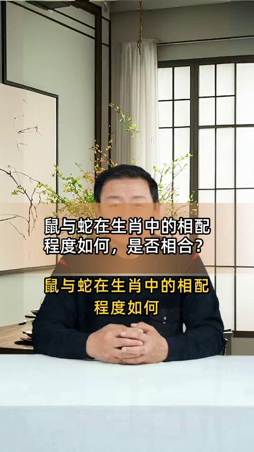 属鼠和属蛇的缘分，是不是嫩合得来呢？
