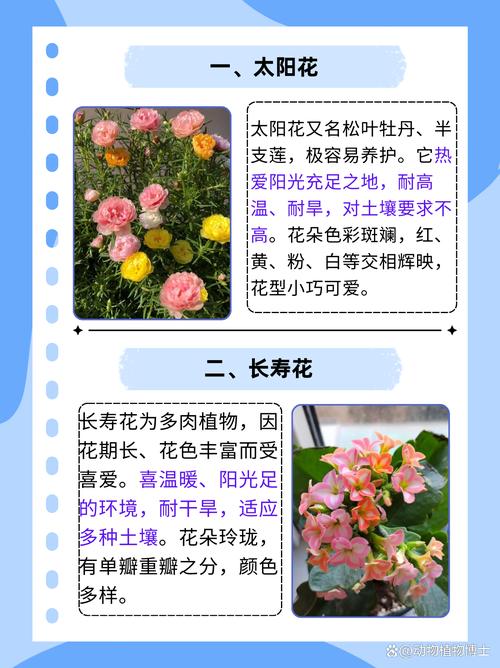 哪些命格的人不适合养花呢？