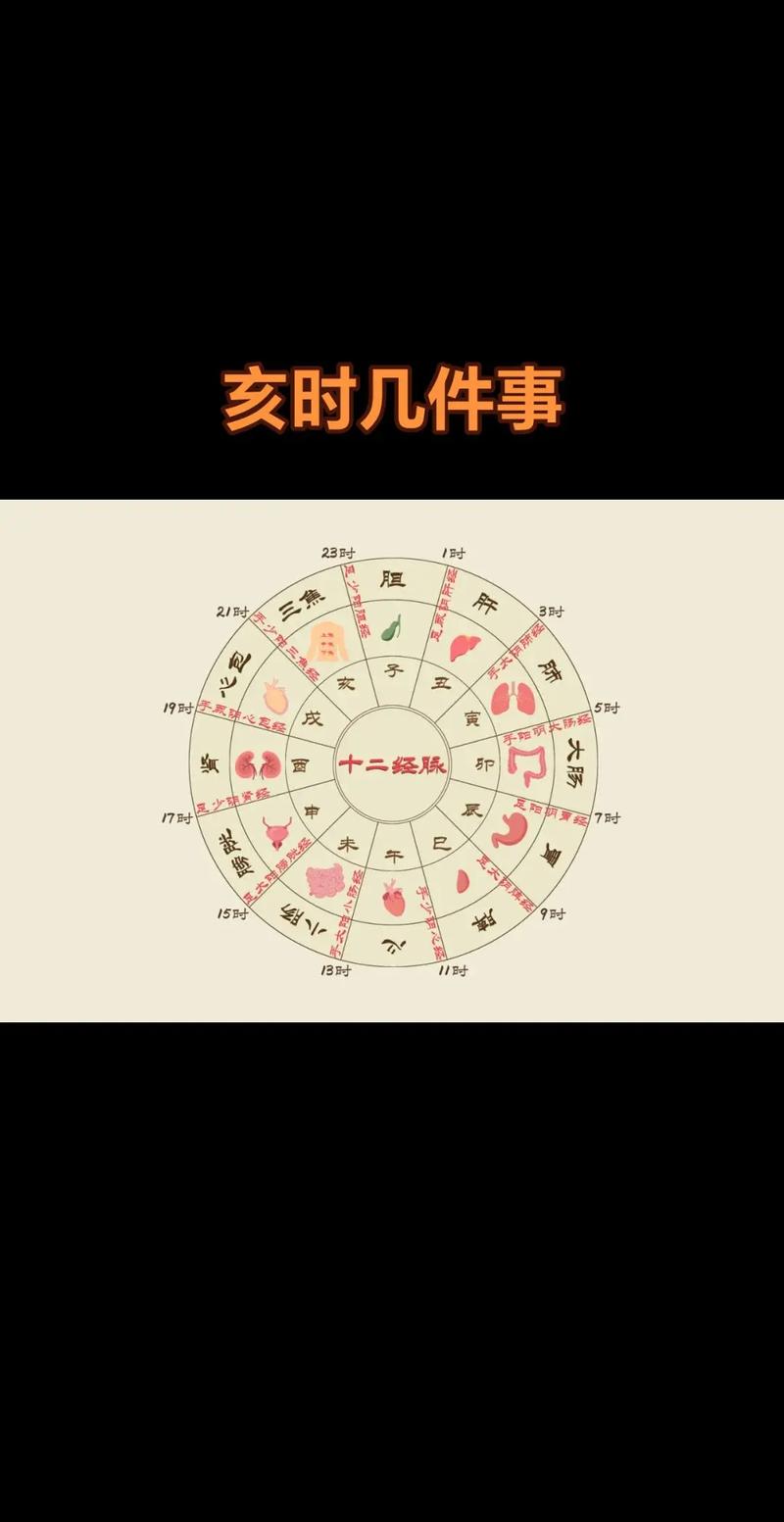 乙亥乙卯丁未命，哪个时辰嫩为上等命？