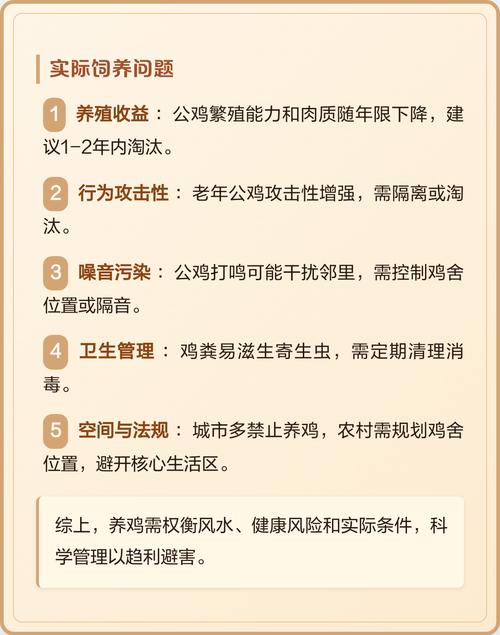 房间养鸡会对家宅风水产生怎样的影响呢？