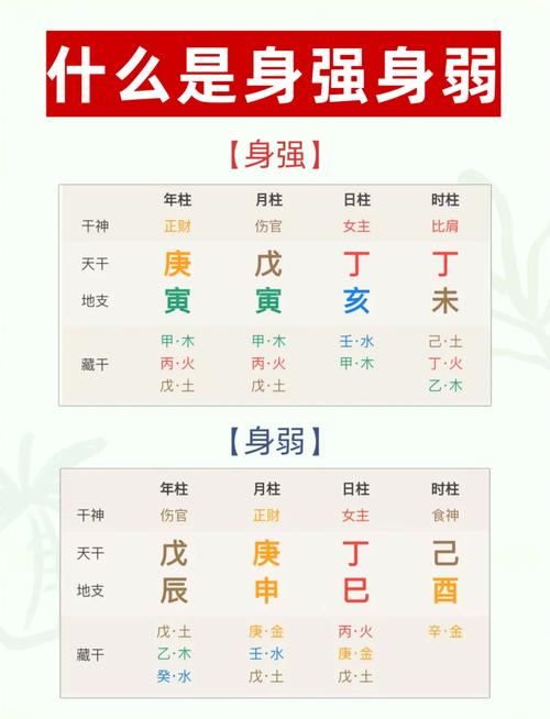 命格身强杀弱有食伤，这样的组合是否适合我的八字命理？