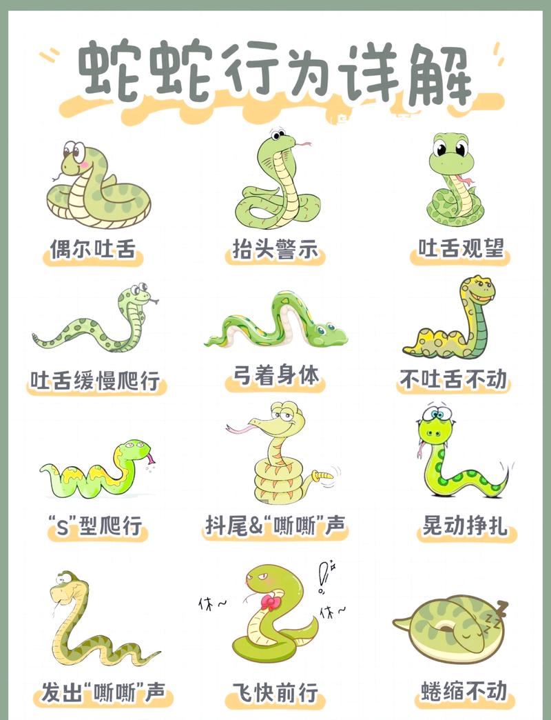 男狗女蛇结合是否适宜？从伦理和生物角度探讨其可行性。
