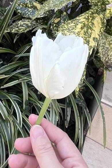 平淡一生是哪种命格，命运会因此有何不同？
