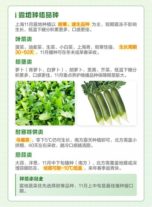 2025年11月30日这个黄道吉日适合种植作物吗？